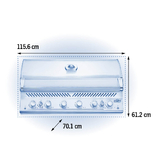 Napoleon  Built in 700 Series 44" with Rear Burner - BIG44RBINSS-1-AU - Natural Gas