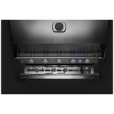 Built in 700 Series LPG 44" with Rear Burner + Lights - BIG44RBIPSS-1-AU