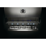 Built in 700 Series NG 38" with Rear Burner + Lights - BIG38RBINSS-1-AU