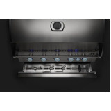 Napoleon  Built in 700 Series 44" with Rear Burner - BIG44RBINSS-1-AU - Natural Gas