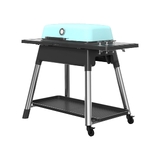 Everdure FURNACE™ Gas Barbeque with Stand (ULPG) Mint - E3G1MA