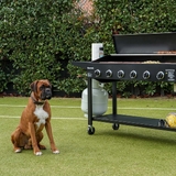 CATERER 6 BURNER BBQ - GM312-001