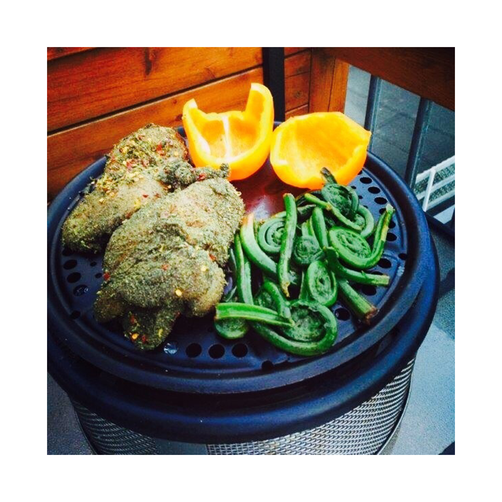 Buy Premier Pro Cobb BBQ Grill CB0014 Online Dominican Republic