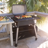 Everdure FORCE™ Gas Barbeque with Stand (ULPG) Mint - E2G1MA