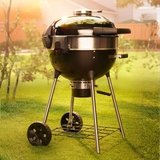 Napoleon Professional 22 Charcoal Kettle