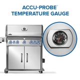 Napoleon Rogue PRO-S 625 IR Sizzle SS LPG