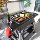 Everdure FURNACE™ Gas Barbeque with Stand (ULPG) Black - HBG3B