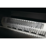 Built in 700 Series NG 38" with Rear Burner + Lights - BIG38RBINSS-1-AU