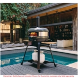 Dome XL (Gen 2) and Stand Bundle - Hybrid Fuel Propane - GMPOBAU1825-BUNDLE