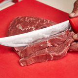 Tramontina Low & Slow 10" Carving Knife - 38023310
