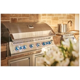 Built in 700 Series LPG 44" with Rear Burner + Lights - BIG44RBIPSS-1-AU