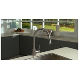 Gareth Ashton 316 Gooseneck Pull Out Kitchen Mixer - KTA037-316-BR