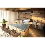 Built in 700 Series LPG 44" with Rear Burner + Lights - BIG44RBIPSS-1-AU