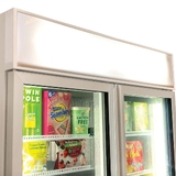 Schmick Upright 2 Door Commercial Glass Door Freezer Model HUS-F10