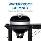 Napoelon Professional 22 Charcoal Cart