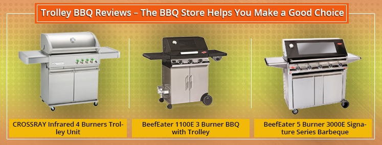Trolley BBQ Reviews – The BBQ Store Helps You Make a Good Choice