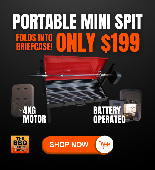 Portable Mini Spit ONLY $199 Folds into briefcase